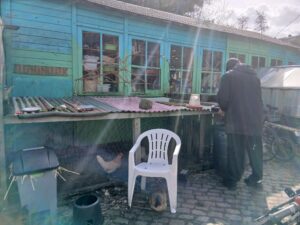 Dinsi verzorgt de kippen bij Pluspunt